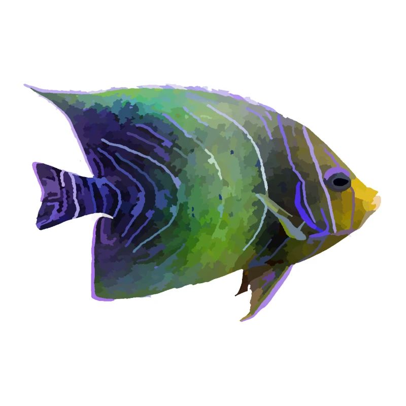 Poisson corail