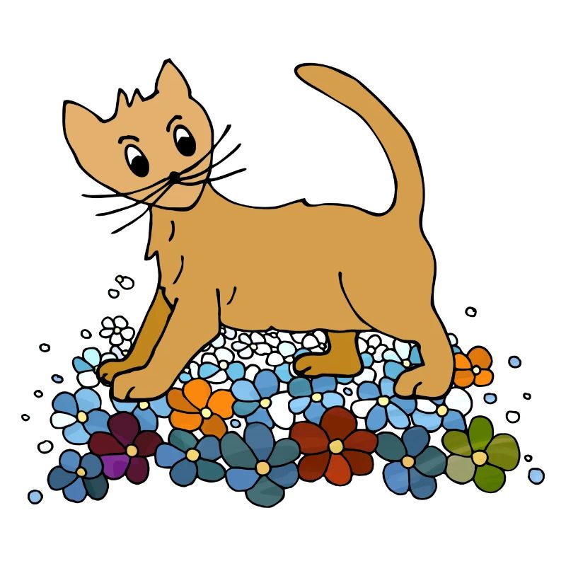 Chat