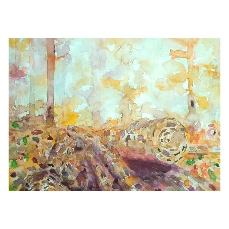 Paysage aquarelle forestier automne