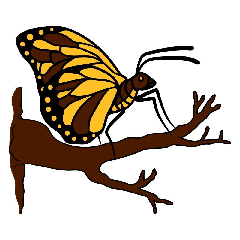 butterfly on branch tree forest insect wing