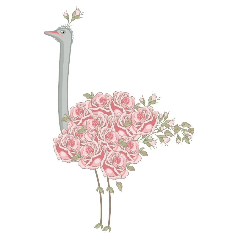 Roses autruche (b)