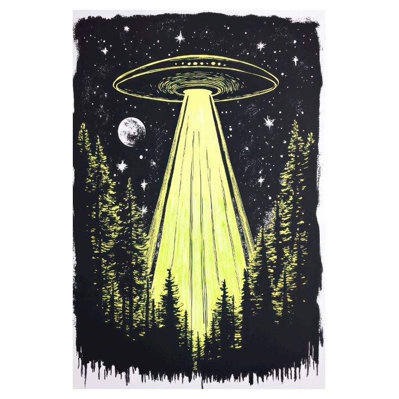 UFO in den Mitternachtskiefern