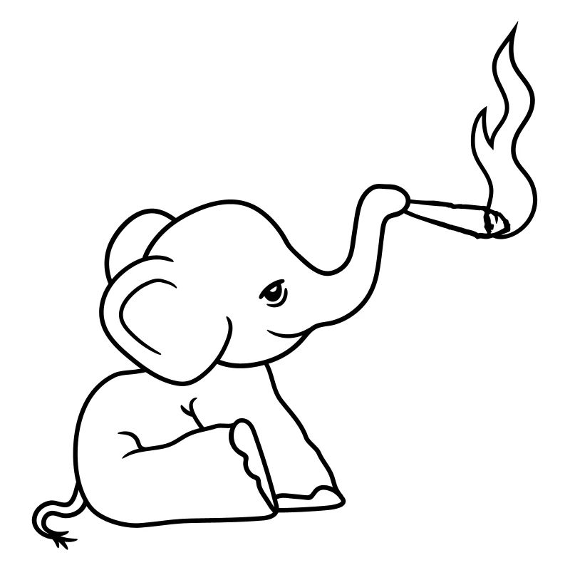 museau éléphant kiffen joint lapidé mauvaise herbe cannabi