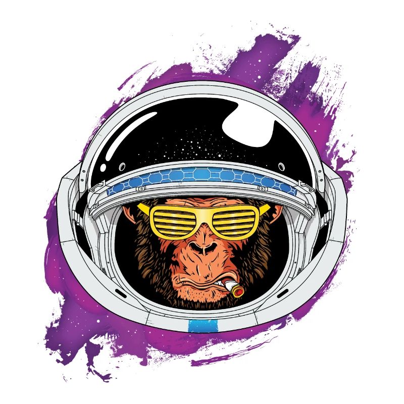Space monkey