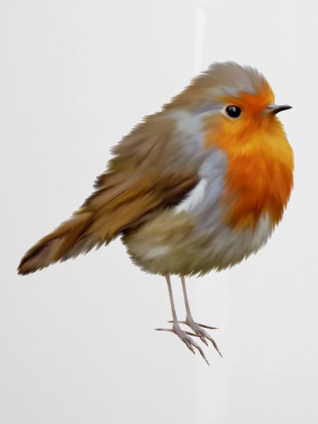 Rotkehlchen Robin