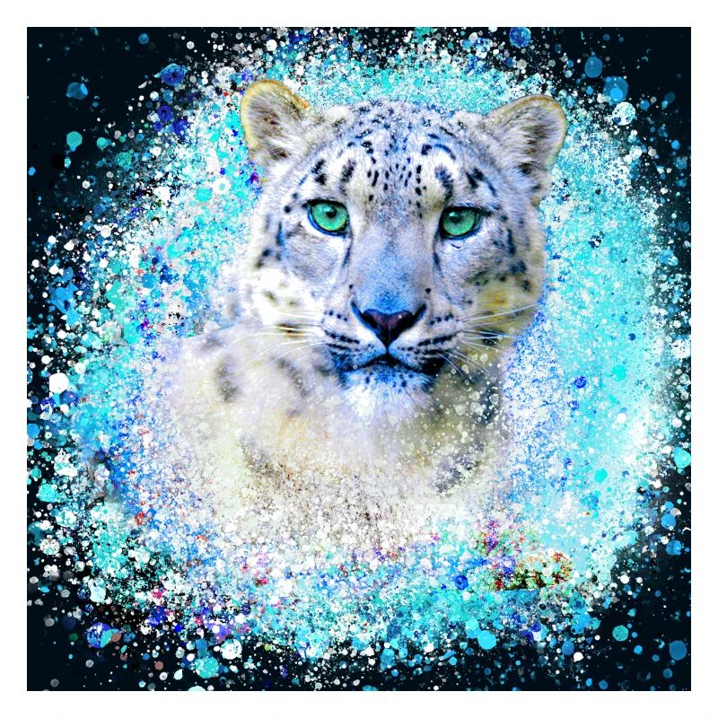 léopard des neiges, chat, léopard, jaguar, blanc, graffiti