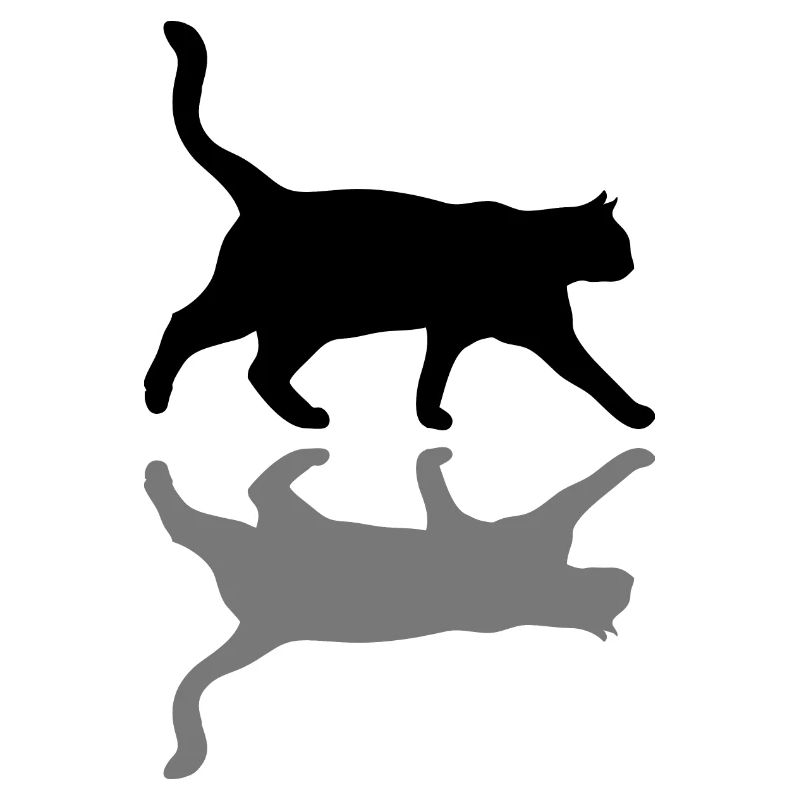 chat Katze