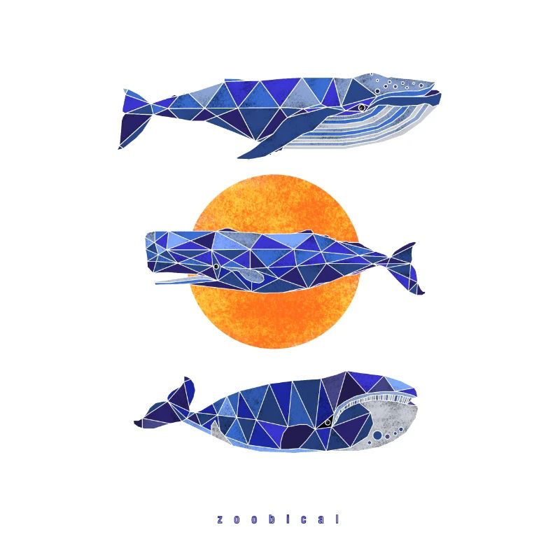three whales