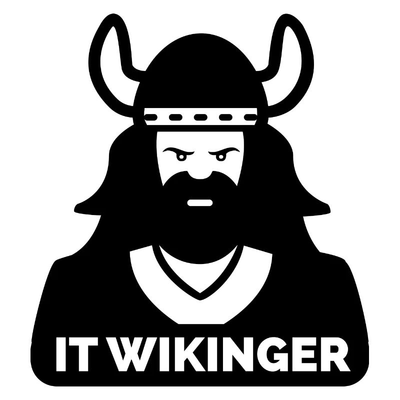 IT Wikinger 2