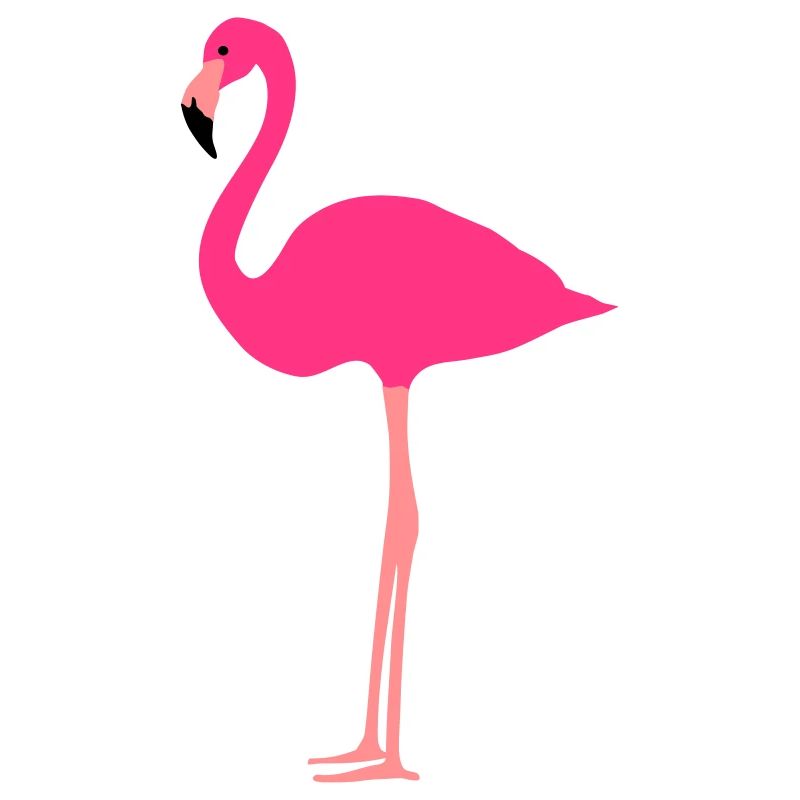 Flamant