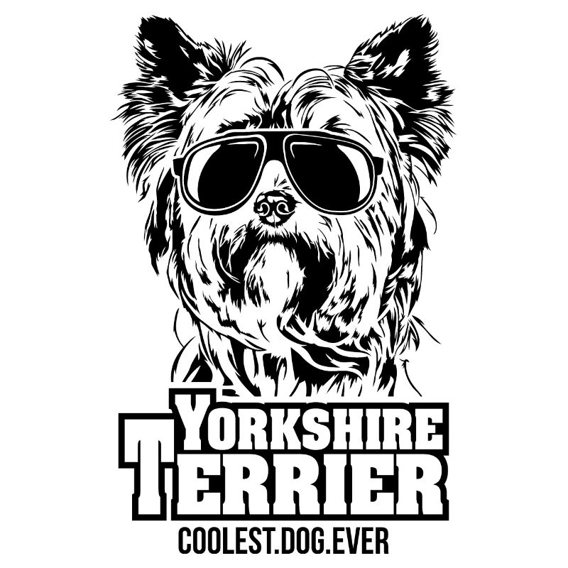 YORKSHIRE TERRIER chien le plus cool de tous les temps en disant