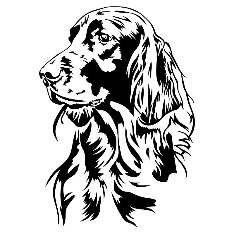 Irish Setter Jagdhund Jagdhunde Hunde Wilsigns
