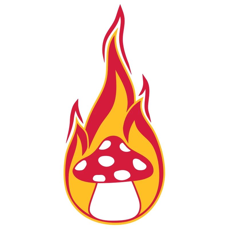 fire burn flames hot mushroom fly agaric red p