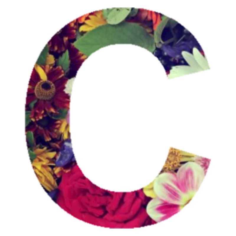 Name initials with flowery pattern. Letter C.