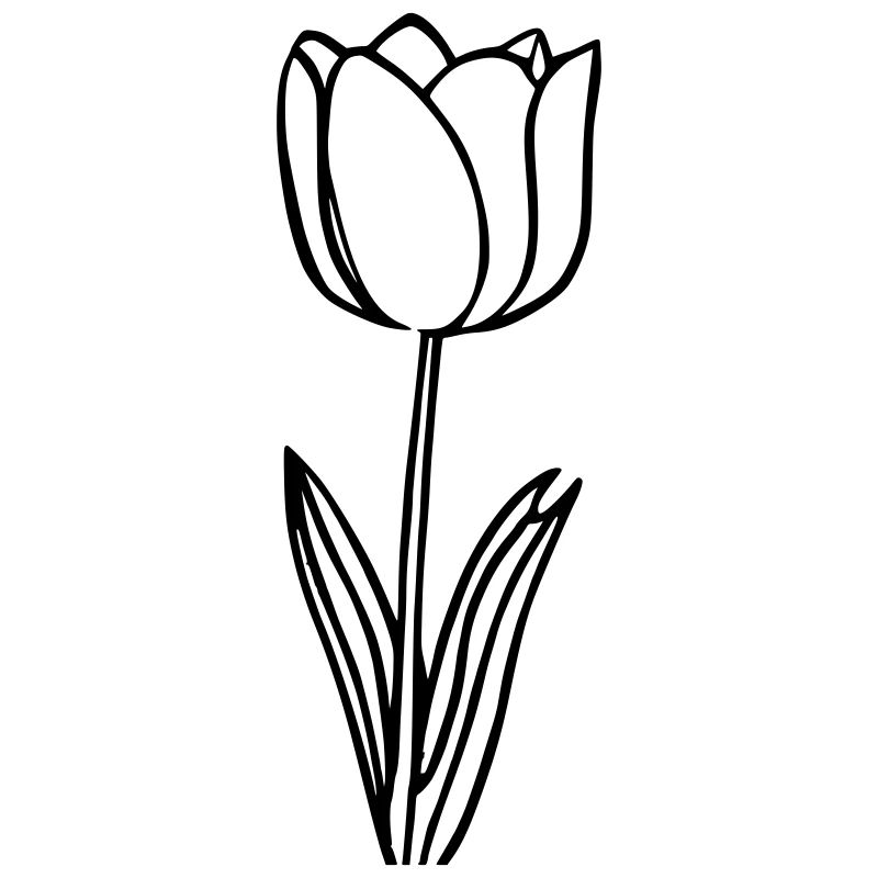 Simple tulip as vector illustration