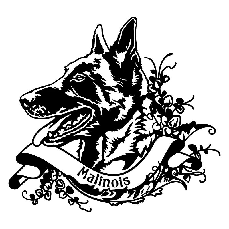 Malinois une bannière rétro n°1