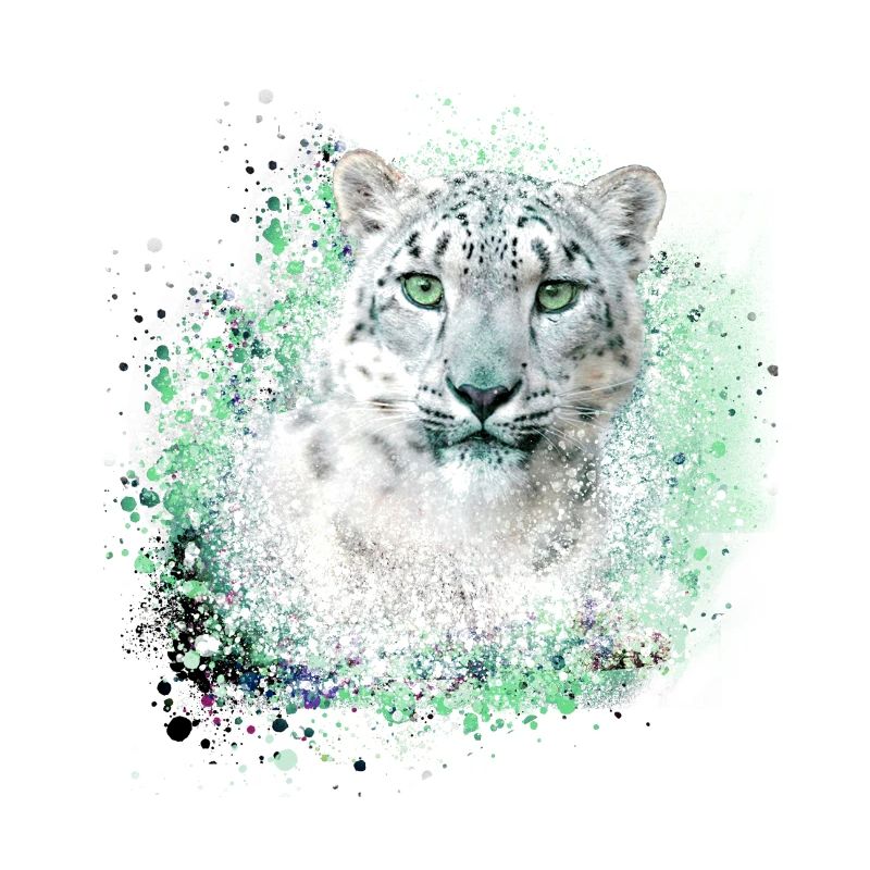 léopard de neige,chat,léoptèce,graffiti,chat sauvage