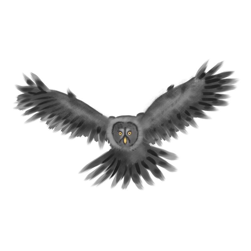 Flying owl with silent wing beats.