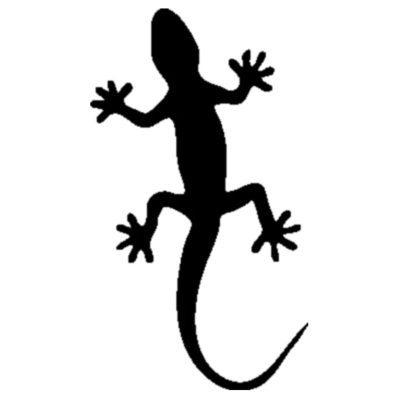 Gecko