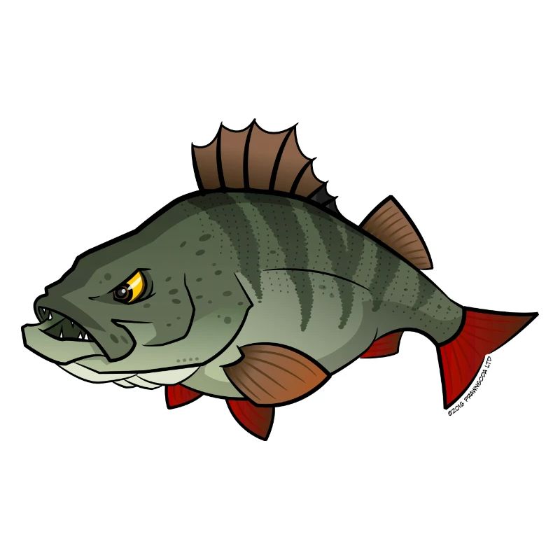 Red River: Perch
