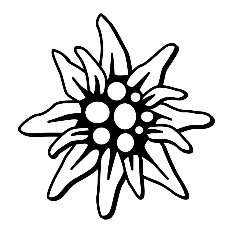 Edelweiss 2c klein