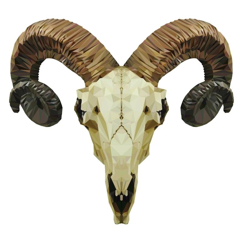 Ram's skull