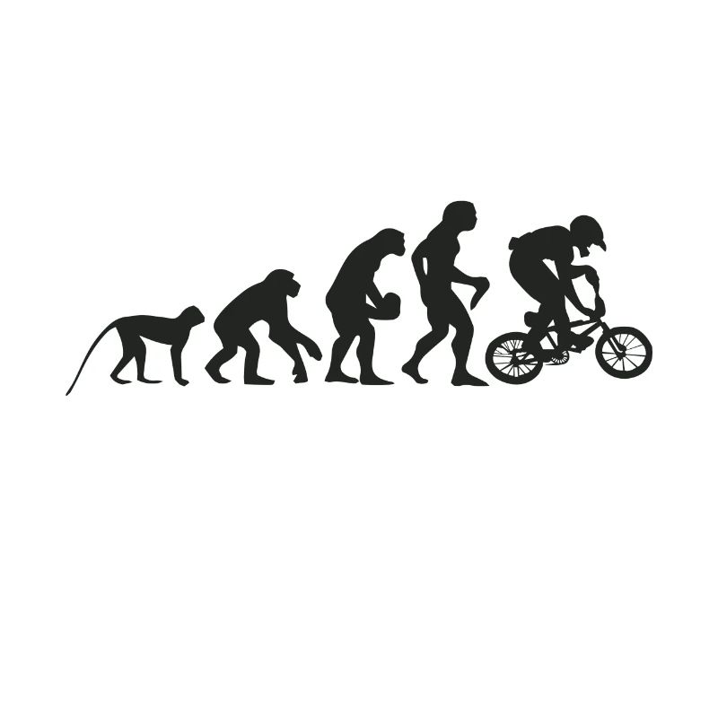 Evolution BMX