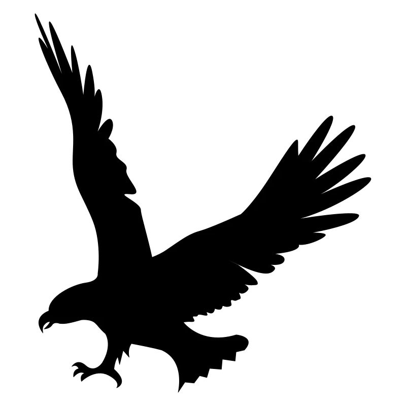 aigle-attaque