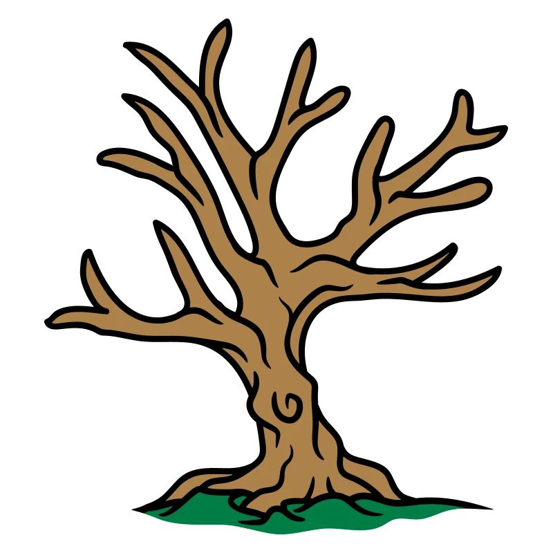 autumn tree winter bonsai tree without leaves