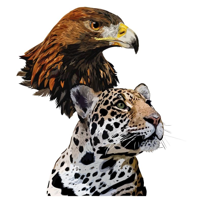 Aigle royal et Jaguar