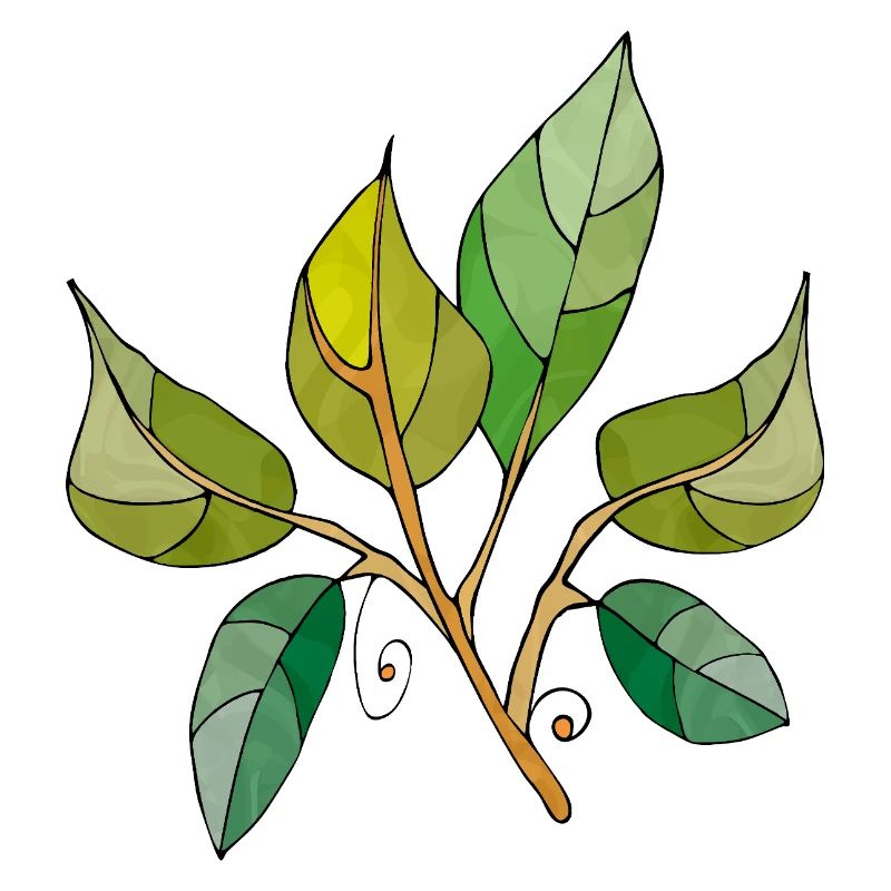 feuilles