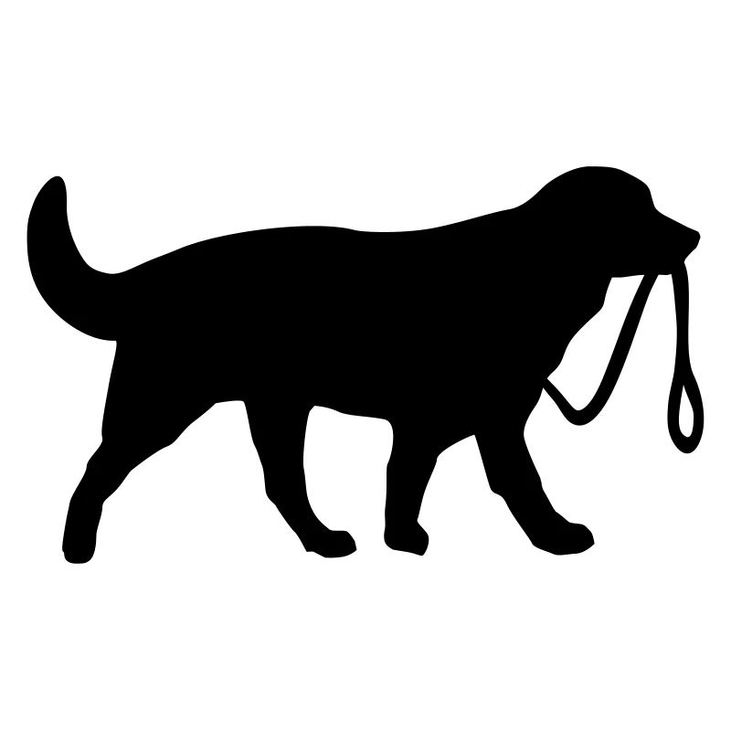 Dog with leash