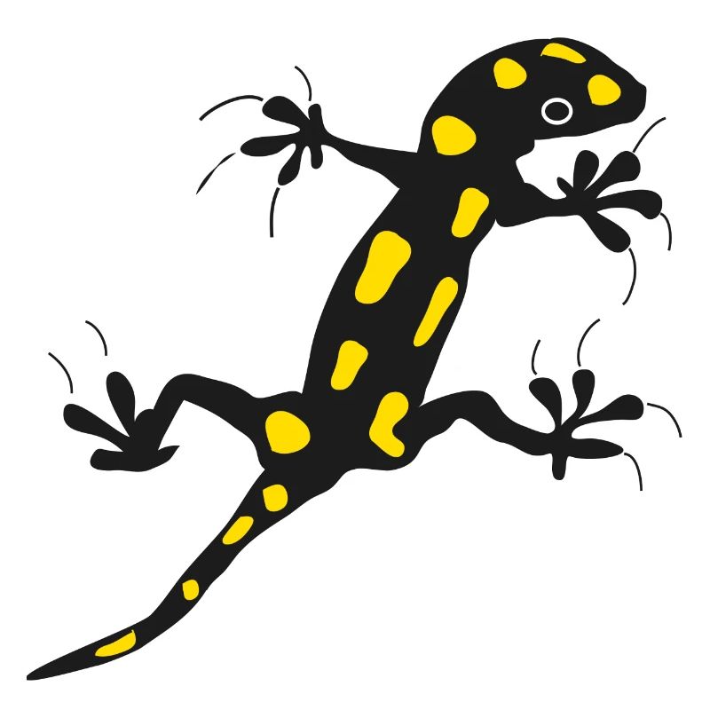 fire Salamander