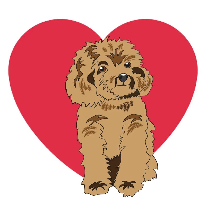 poodle
