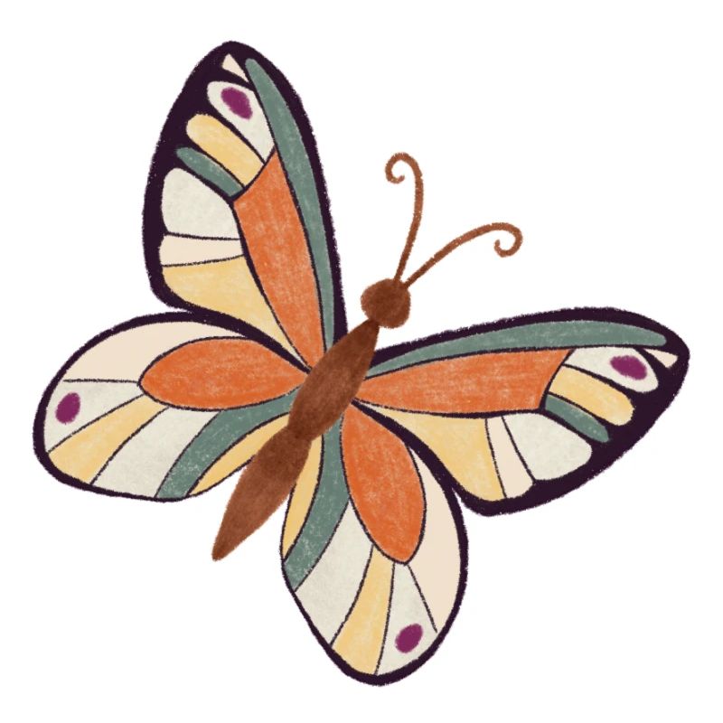 Papillon Design Insecte coloré