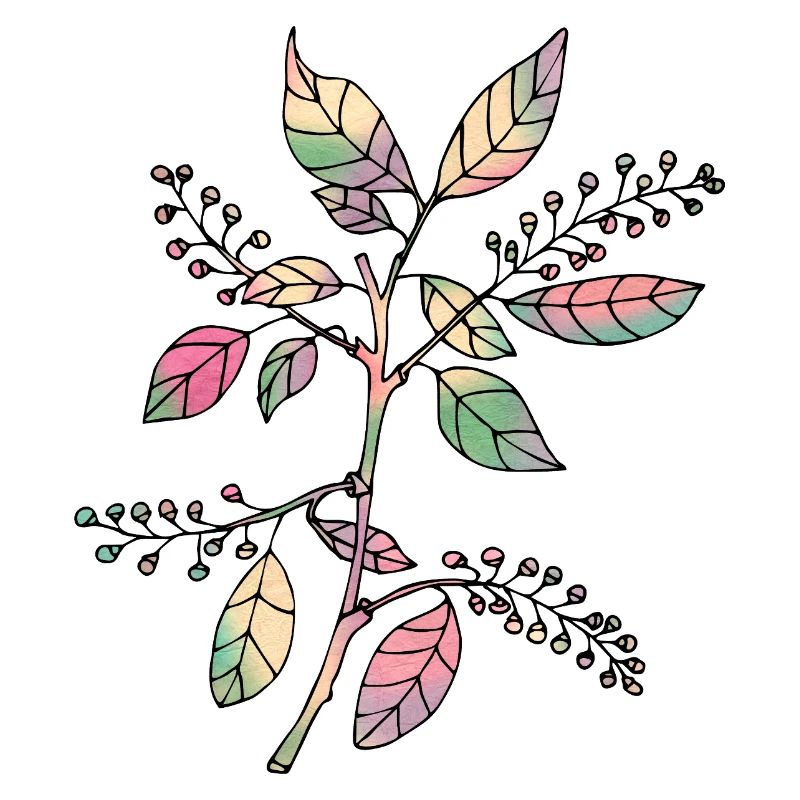 Fleur