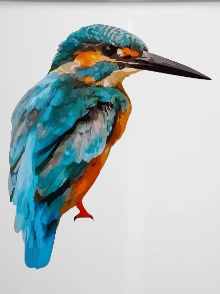 063 - Eisvogel