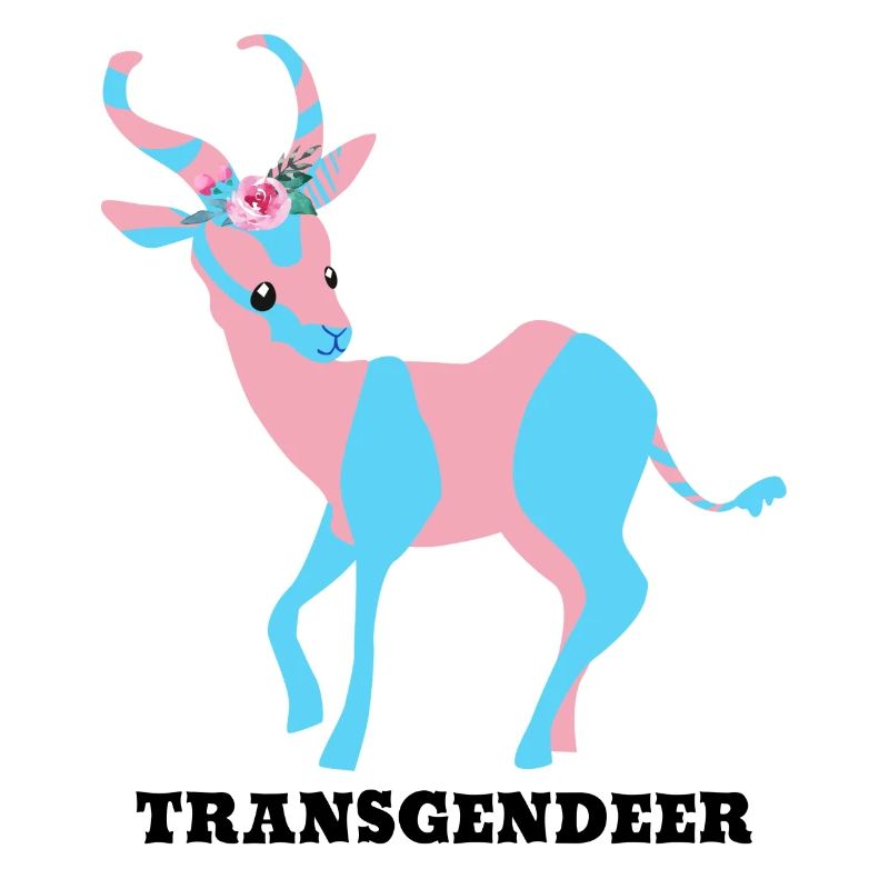 Transgendeer