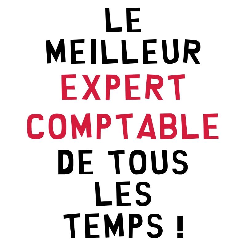 Expert Comptable / Comptabilité / Comptable /