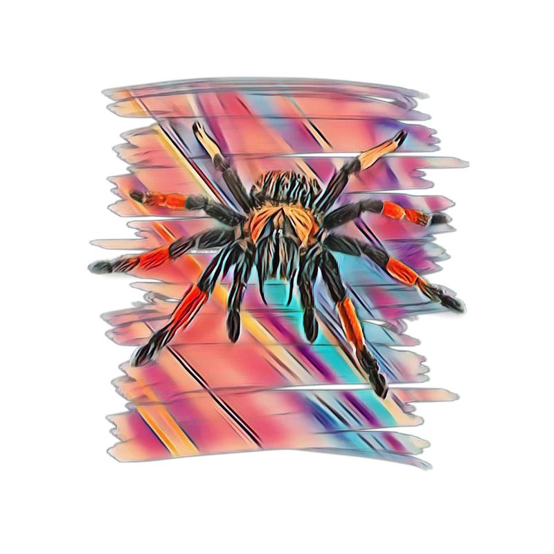 Tarantula