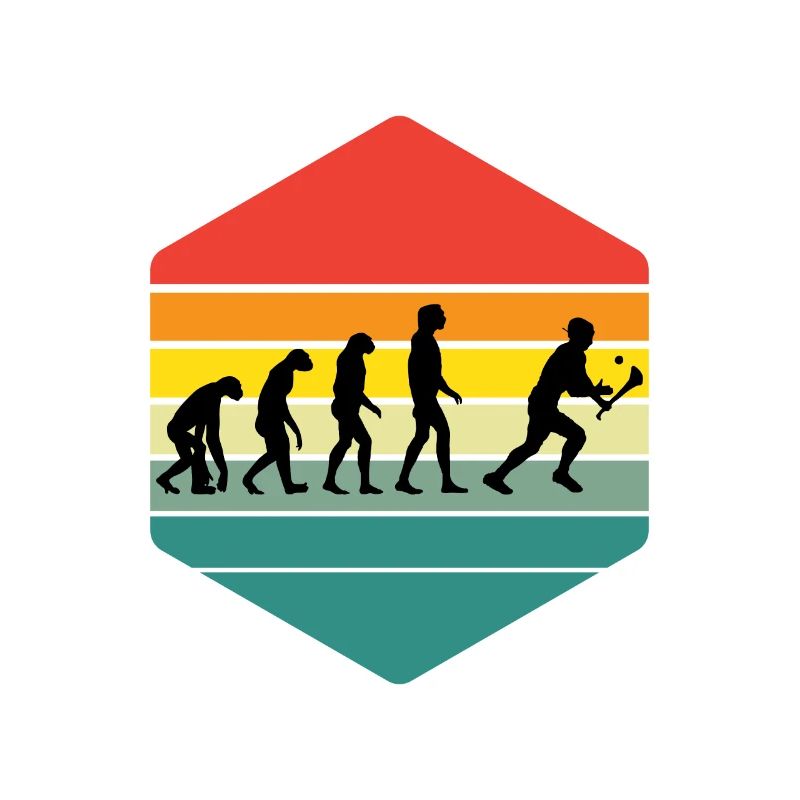 Die Evolution von Hurling