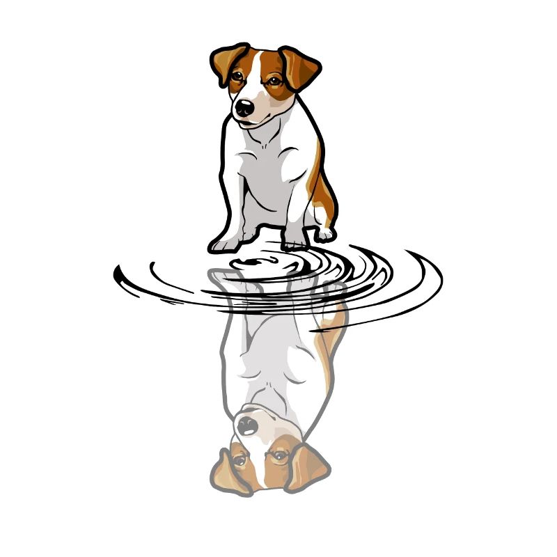 Jack Russell mirroring