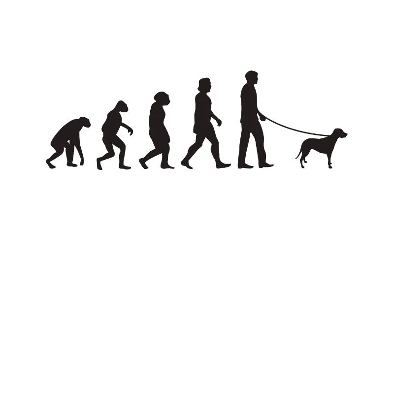 Brandlbracke Evolution Bracke chien de chasse
