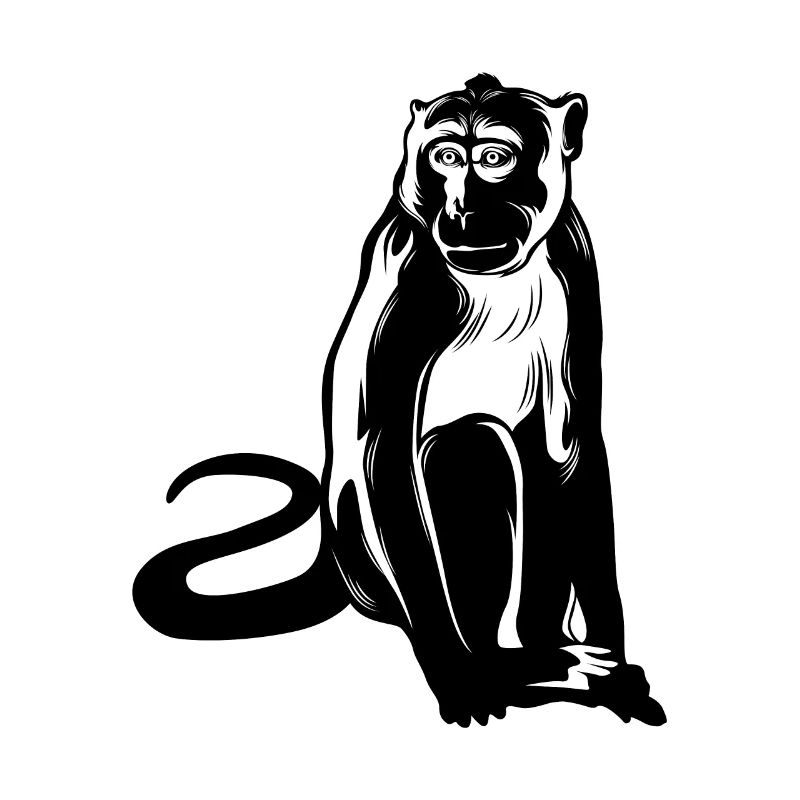 Affe Monkey Tier