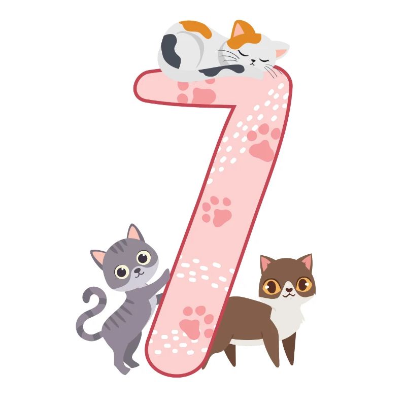 7. Geburtstag Mädchen Katze