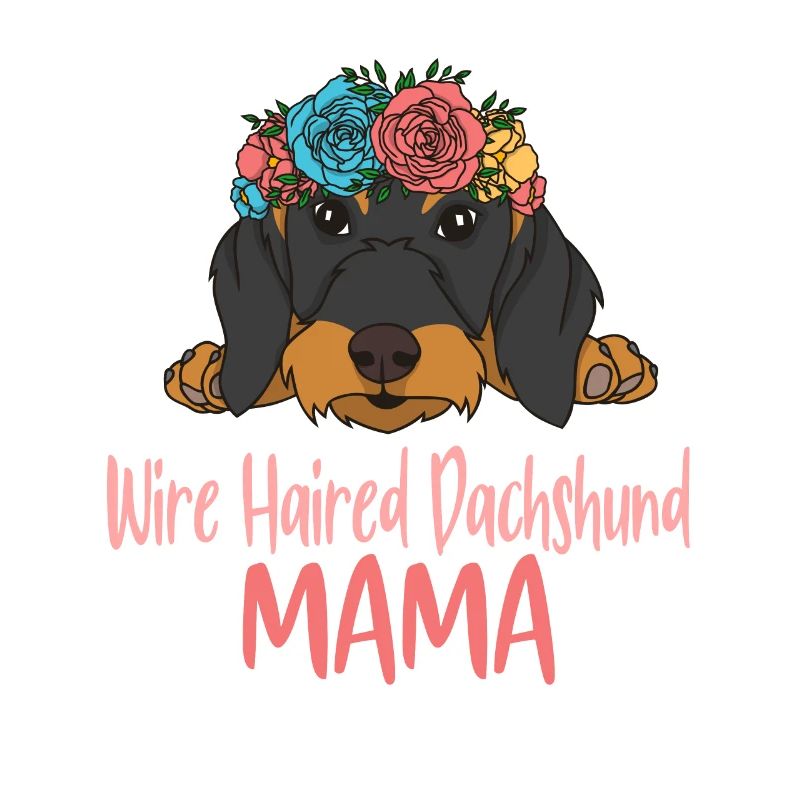 Rough-haired dachshund MAMA