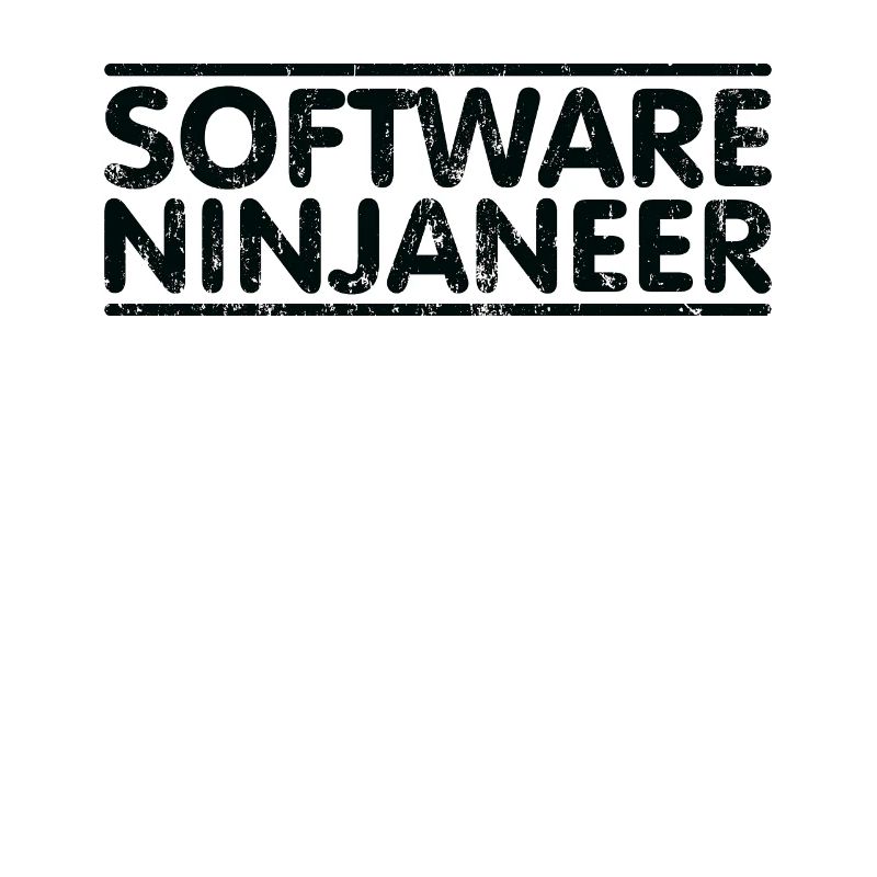 Ninjaneer - Software -Ingenieur