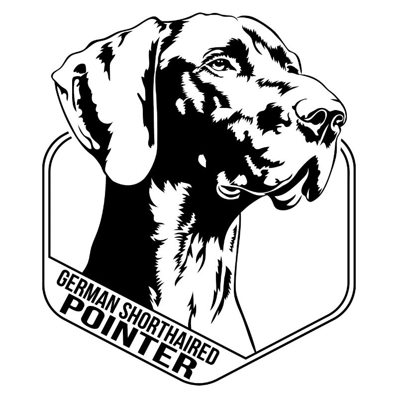 German Shorthaired Pointer Hund Wilsigns Jagdhunde