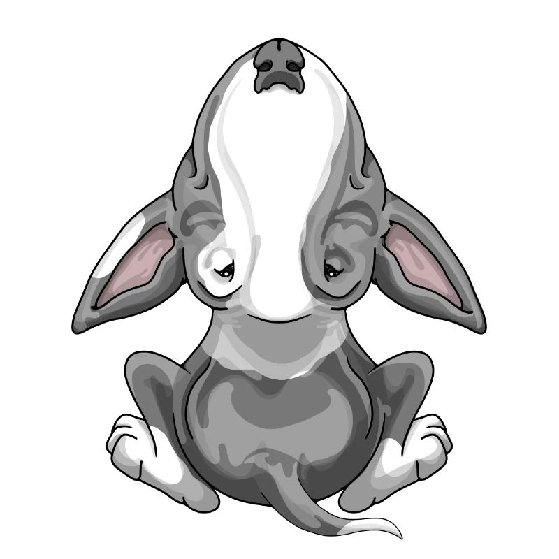 Bullterrier bekämpft graue Flecken