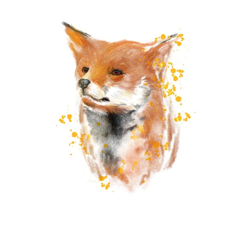 Fox Face Fox Fox Cute Smart Aquarelle